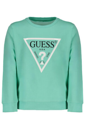 GUESS JEANS FELPA SENZA ZIP BAMBINO VERDE